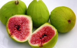 Quả sung 'chặn' đái tháo đường, ung thư