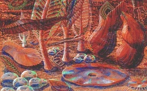 Nguồn gốc của loài người phức tạp hơn chúng ta tưởng