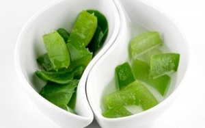 4 công dụng bất ngờ của lô hội