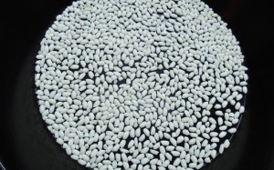 Gạo nếp có thực chữa được đau dạ dày?