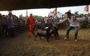 Hình ảnh về sức hấp dẫn của văn hóa truyền thống