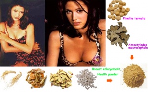 Bất ngờ với những loại bột làm nở ngực