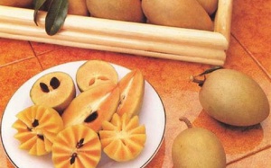 Hồng xiêm - thuốc tốt chữa tiêu chảy