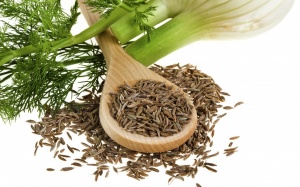 Chống lão hóa, ngăn ngừa ung thư bằng thì là