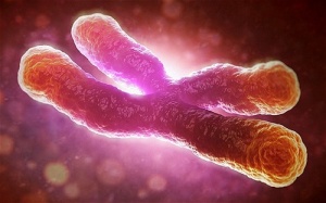 Đo gene để phát hiện ung thư sớm 13 năm