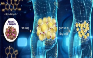 Hiểm họa khôn lường từ béo bụng