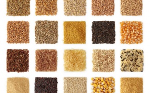 Ngũ cốc cổ: Hành trình về quá khứ tìm tương lai cho TPCN 