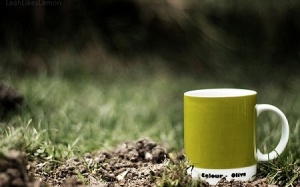 TS. Christopher Ochner: Trà xanh là loại đồ uống lành mạnh nhất