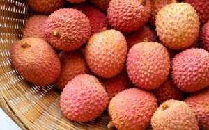 5 điều kiện để vải thiều Việt Nam được xuất sang Australia 