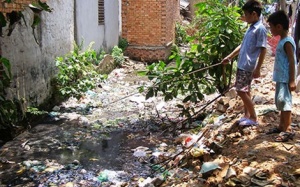 Khổ vì muỗi đầy nhà