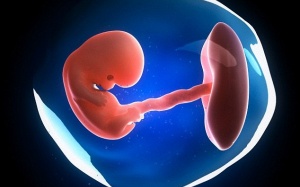 Từ trong bụng mẹ, em bé đã uống 'sữa'