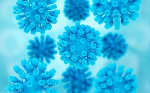 Ung thư vì viêm gan C siêu vi