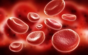 Viagra có thể ngăn ngừa bệnh sốt rét?