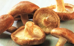 Cách chọn, ngâm và chế biến thực phẩm khô