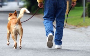 Đi bộ 30 phút/ngày giúp sống thọ thêm 5 năm