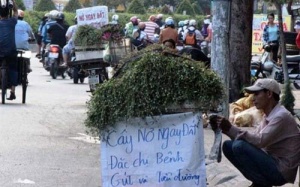 Ma trận Đông dược