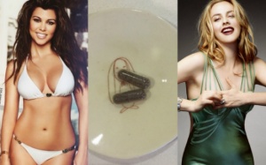 Các bà mẹ Mỹ ăn... nhau thai của chính mình