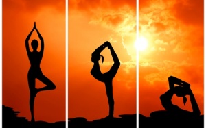 Các bài tập Yoga giúp thư giãn tâm trí và cơ thể (P.1)