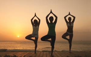 Các bài tập yoga giúp thư giãn tâm trí và cơ thể (P.2)