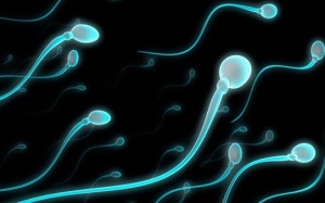 Thủ dâm nhiều có bị loãng tinh?