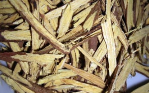 Triển vọng trị viêm loét ruột từ cây cam thảo bắc