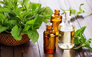 5 lợi ích sức khỏe của tinh dầu bạc hà