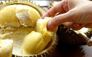 Ăn sầu riêng: Giảm căng thẳng, tăng ham muốn?