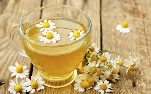 Trà hoa cúc: Bí quyết sống thọ của phụ nữ