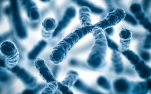 5 điều có thể bạn chưa biết về bệnh lupus