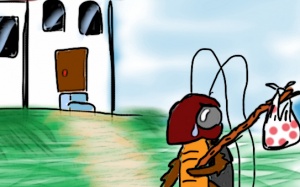 Cách đuổi gián không dùng hóa chất