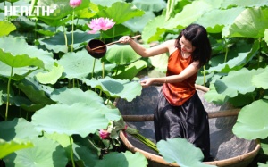 Vẻ đẹp tinh khôi của thiếu nữ Hà thành bên sen Hồ Tây