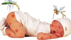 10.000 ca mắc sốt xuất huyết chỉ trong 5 tháng đầu năm