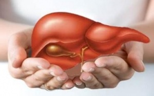 Gan bị thuốc tấn công thế nào?