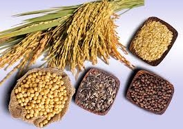 Hạn chế thực phẩm chứa nickel – Giúp giảm cân, giảm mỡ thừa