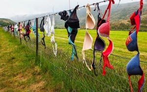 'Độc đáo' hàng rào áo ngực ở New Zealand