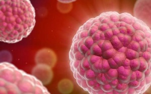 Chữa ung thư da bằng virus biến đổi gene