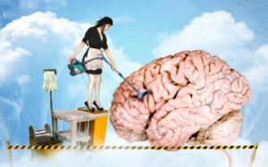 Bộ não cũng phải làm 'ca đêm' trong khi ngủ