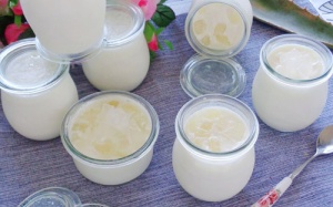 Cách làm sữa chua nha đam tươi mát, đẹp da