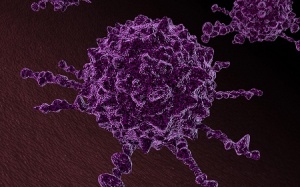 ​Dùng virus biến đổi tấn công khối u