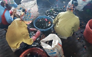 Mục sở thị làng nghề sống chung với chì