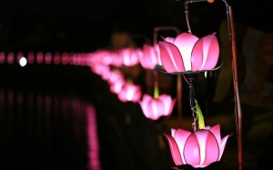 Lung linh sắc màu mùa Phật Đản khắp đất nước