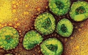 Virus nguy hiểm giống SARS đến Trung Quốc