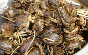 Cách làm cua, ốc sạch để cả nhà không đau bụng
