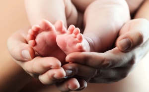 Bổ sung dưỡng chất để chóng có 'tin vui'