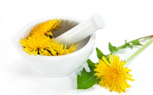 Thải độc toàn bộ cơ thể bằng thảo dược