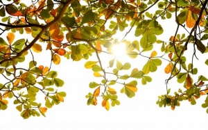 Dự báo thời tiết ngày 6/6: Nắng nóng lại gay gắt