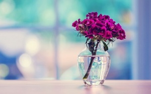 Tử vi 12 cung hoàng đạo thứ Bảy (6/6/2015)