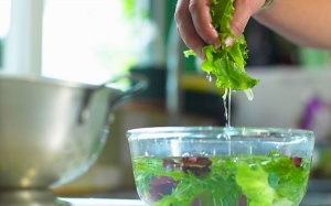 Ngâm rau trong nước có giúp rửa sạch thuốc sâu không?