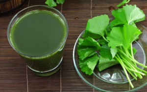 Bài thuốc dân gian chữa say nắng mùa hè