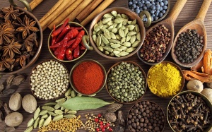 10 loại thảo mộc quen thuộc có công dụng chữa bệnh